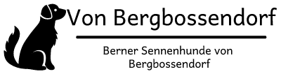 Logo Von-Bergbossendorf